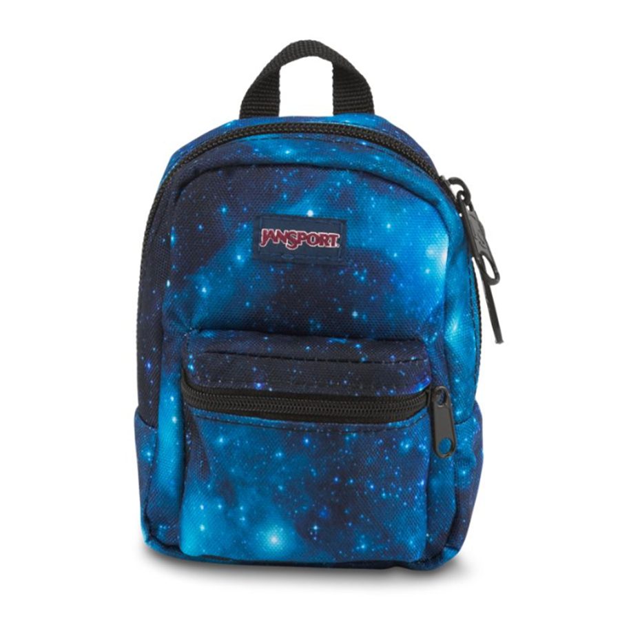 jansport lil break pouch