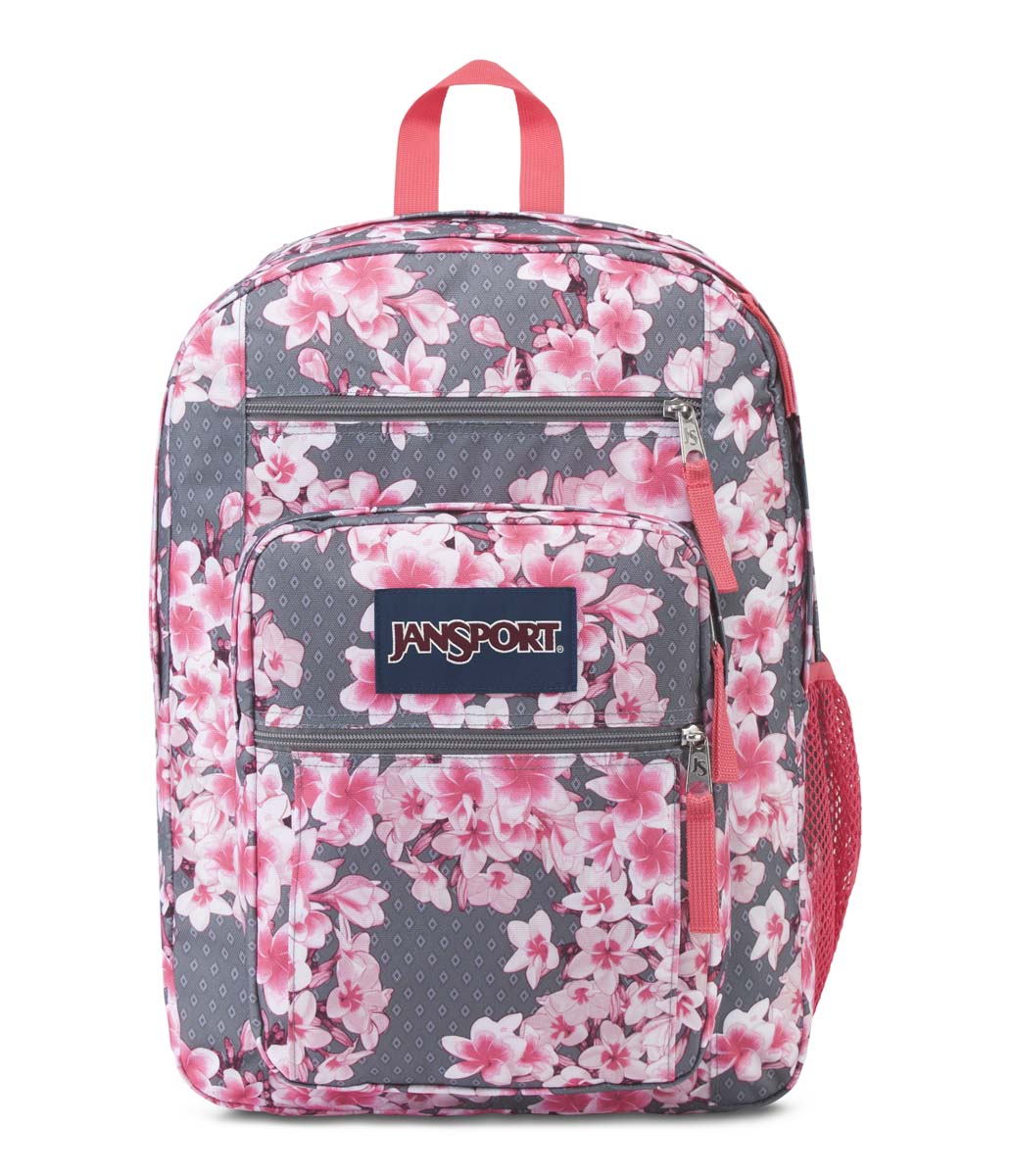 BIG STUDENT BACKPACK JanSport Jordan Official Online Store