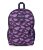 FLUTTER PURPLE